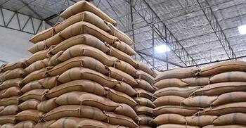 Govt depends on imports to boost rice, wheat stocks