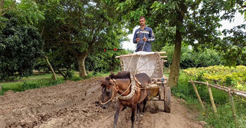 সাড়ে ৩ কিলোমিটার বেহাল সড়কে আটকে ১০ গ্রামের অর্থনীতি