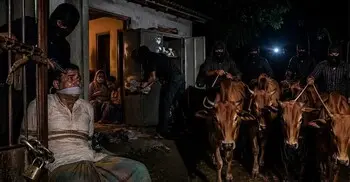 পটিয়ায় অস্ত্রের মুখে জিম্মি করে ৪ গরু ও সাড়ে ৩ লাখ টাকা লুট