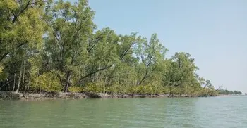 সুন্দরবনে দুই দিনে ২০ জেলে-মৌয়াল অপহরণের অভিযোগ