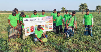 ফরিদপুরে তরমুজের ফলনে রেকর্ড
