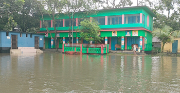 হঠাৎ বন্যায় ভোগান্তিতে তিস্তাপাড়ের মানুষ