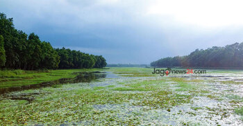 হারিয়ে যাচ্ছে দিনাজপুরের বিল-দেশি মাছ