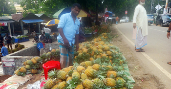 সিলেটের ঐতিহ্য আম-কাঁঠালিতে জমেছে ফলের হাট