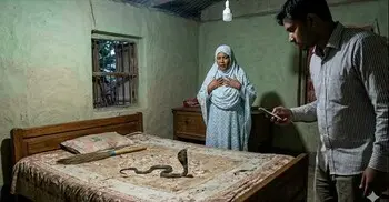 সাংবাদিকের ঘরে গোখরা সাপ, অল্পের জন্য রক্ষা