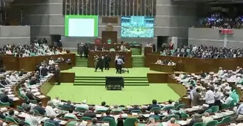 আরপিও সংশোধনসহ অন্তর্বর্তী সরকারের ৭ অধ্যাদেশ সংসদে পাস