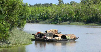 সুন্দরবনে সাত জেলেকে ১৫ লাখ টাকা জরিমানা