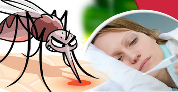 হঠাৎ কেন বাড়ছে মশা, ডেঙ্গুর শঙ্কা কতটা?