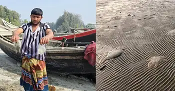 সাগরে ভেসে আসছে হাজার মৃত জেলিফিশ, মাছ ধরা বন্ধ