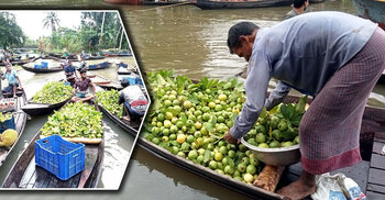 পেয়ারার উৎপাদন কম, ভালো দামেও খুশি নন চাষিরা