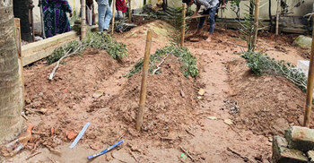 From classroom to grave: Together in life, united in death