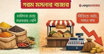 গরম মসলার দামে শীতল হাওয়া