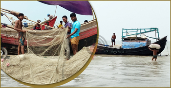 খুঁটা ছেড়ে ঋণমুক্ত হওয়ার স্বপ্ন বুনছেন উপকূলের জেলেরা