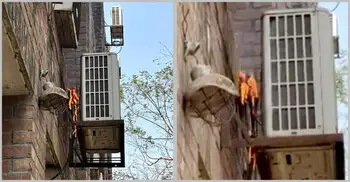 জাবিতে পরীক্ষা চলাকালীন এসিতে আগুন