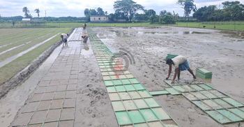 কৃষিতে আধুনিক প্রযুক্তি, কম খরচে লাভ বেশি