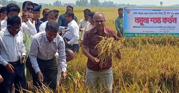 দেশে ১০০ মিনি হিমাগার তৈরি হবে: কৃষি উপদেষ্টা