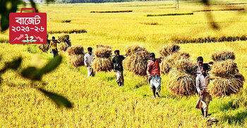 Budget 2025-26: Increased allocation for agriculture, food, and fisheries