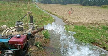 চুয়াডাঙ্গায় কৃষিতে বছরে ক্ষতি কোটি কোটি টাকা