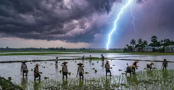 মাঠে ধান কাটার সময় বজ্রপাতে তিন কৃষকের মৃত্যু
