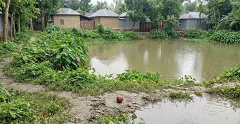 পুকুরে বল তুলতে গিয়ে প্রাণ গেল ৮ বছরের শিশুর