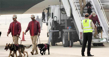 No bomb found on Biman’s Rome flight