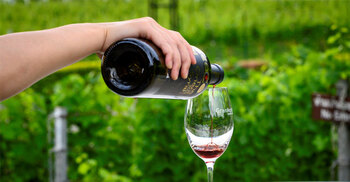 বিকেলে মদ বিক্রির নিষেধাজ্ঞা তুলে নিলো থাইল্যান্ড