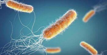 New breakthrough drugs target deadly superbugs