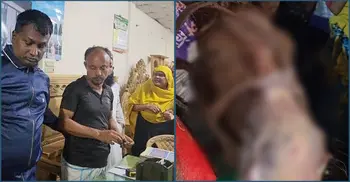 গরু বলে ঘোড়ার মাংস বিক্রি করতেন ডালিম মিয়া