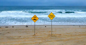 হাঙরের হামলার পর অস্ট্রেলিয়ায় বহু সৈকত বন্ধ