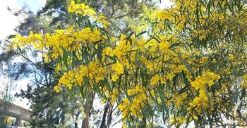 আধুনিক সভ্যতা দিয়েছে বেগ কেড়ে নিয়েছে আবেগ