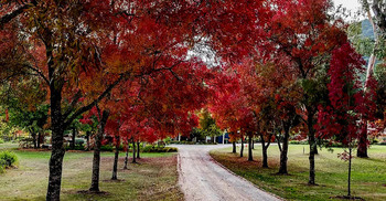 এ যেন মনোমুগ্ধকর পড়ন্ত যৌবন