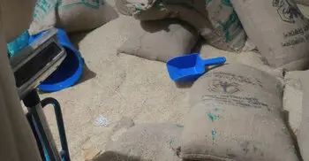 টিসিবির নিম্নমানের চাল সরবরাহের অভিযোগ, বাজিতপুরে গুদাম সিলগালা