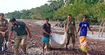 সুন্দরবনে প্লাস্টিক দূষণ কমাতে বন বিভাগের উদ্যোগ