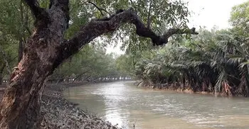 সুন্দরবনে দস্যুদের মুক্তিপণ দিয়ে বাড়ি ফিরলেন ১১ জেলে