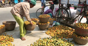 মহাসড়কের পাশে-সড়ক বিভাজনে বসে সুপারির হাট, ভোগান্তি চরমে