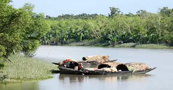 সুন্দরবনের উপকূল থেকে দুই দিনে ২০ জেলে অপহরণ