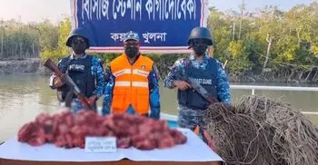সুন্দরবন থেকে ১০০ কেজি হরিণের মাংসসহ চার হাজার মিটার ফাঁদ জব্দ