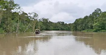 দস্যু আতঙ্কে সুন্দরবনে যাচ্ছেন না মৌয়ালরা
