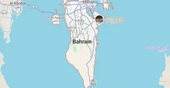 Dissidents walk free as Bahrain pardons 457 prisoners