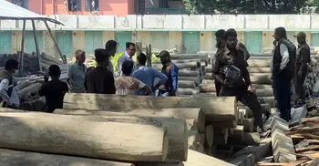 বন বিভাগের অভিযানে মিললো বিপুল পরিমাণ অবৈধ কাঠ