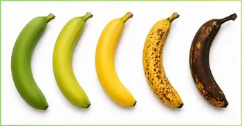 কলা কবে খাবেন? কলার রঙই বলে দেবে সময়