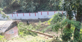 বান্দরবানে সওজের ৫০ লাখ টাকার গাছ কেটে নেওয়ার অভিযোগ