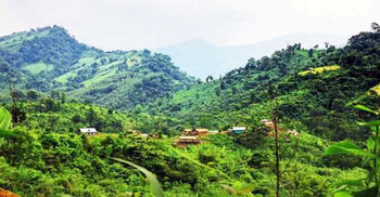 কুকি-চিনের নারী শাখার প্রধান সমন্বয়ক আকিম বম গ্রেফতার