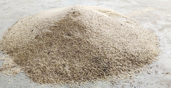 বরগুনায় ঈদ উপহারে পচা চাল!