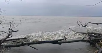 শুভসন্ধ্যা সৈকতে গোসলে নেমে পর্যটক নিখোঁজ