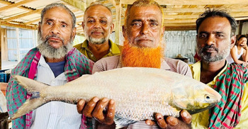 এক ইলিশের দাম ১১ হাজার