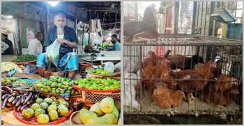 সপ্তাহের ব্যবধানে বেড়েছে সবজি-মুরগির দাম