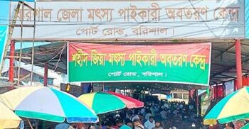 Fish prices to go up as Barisal fish wharf lease amount doubles