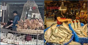 ইলিশের বাজার চড়া, কমেছে ব্রয়লার মুরগির দাম