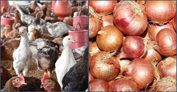 ভোটের ছুটিতে সরবরাহ কম, দাম বেড়েছে মুরগি-পেঁয়াজের